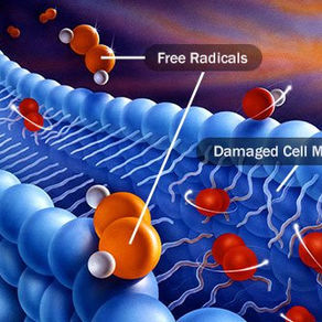 What The Heck Are Antioxidants Anyways?