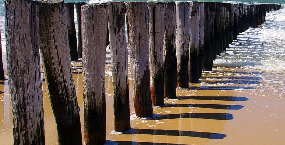 Man sieht einige Pfosten, die aus dem weichen Sand des Meeres ragen. Salzwasser umspült sie. Meerwasser. An den Rändern der Pfostn sind Algen.