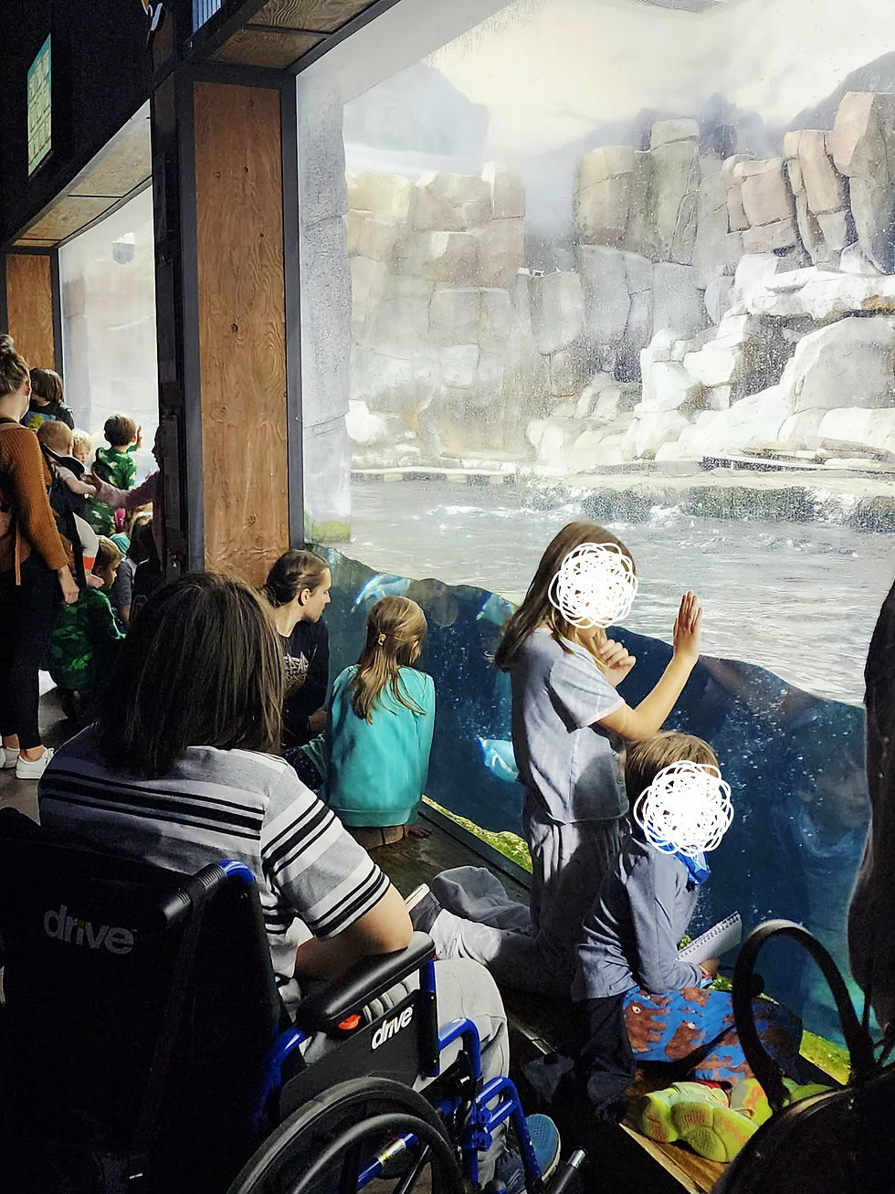 A boy in wheelchair with lots of other children looking at penguins swimming