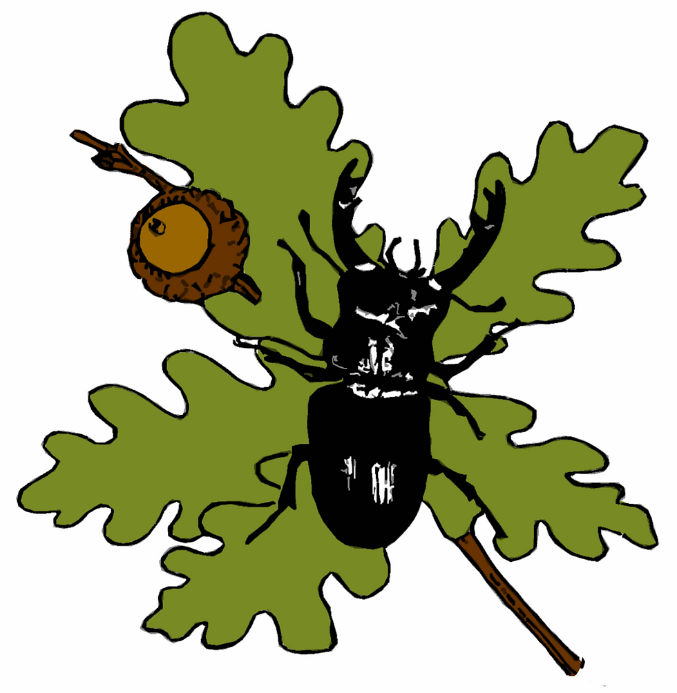 ree