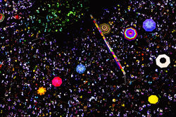 24326157224_f5d1420007_o