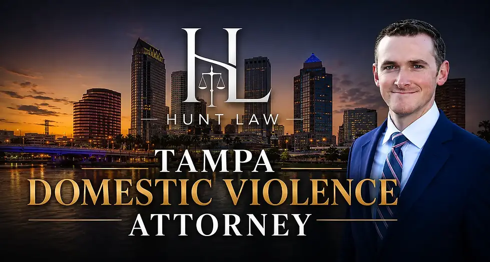 Tampa domestic violence attorney