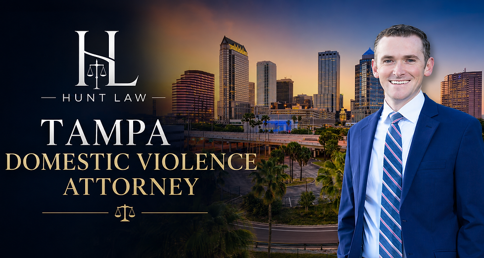 Tampa domestic violence attorney
