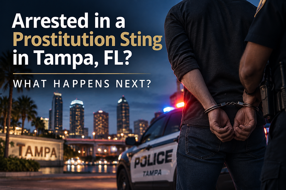Arrested in a prostitution sting in tampa, fl?