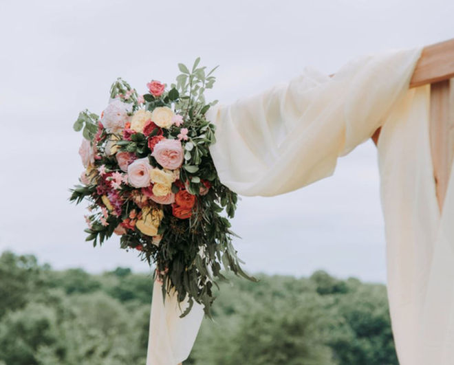 Luxury wedding venue, rustic wedding venue, Port Macquarie, Farmstay, Pet Friendly, private spa