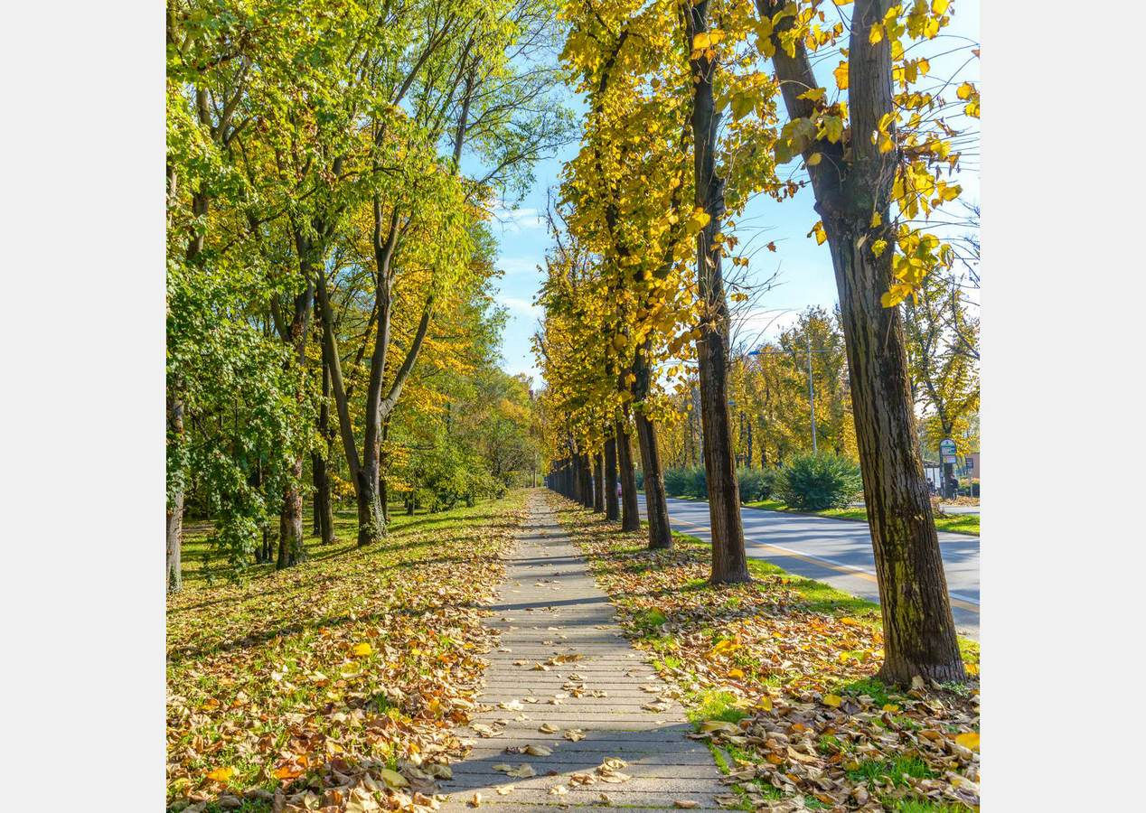 Осенний парк