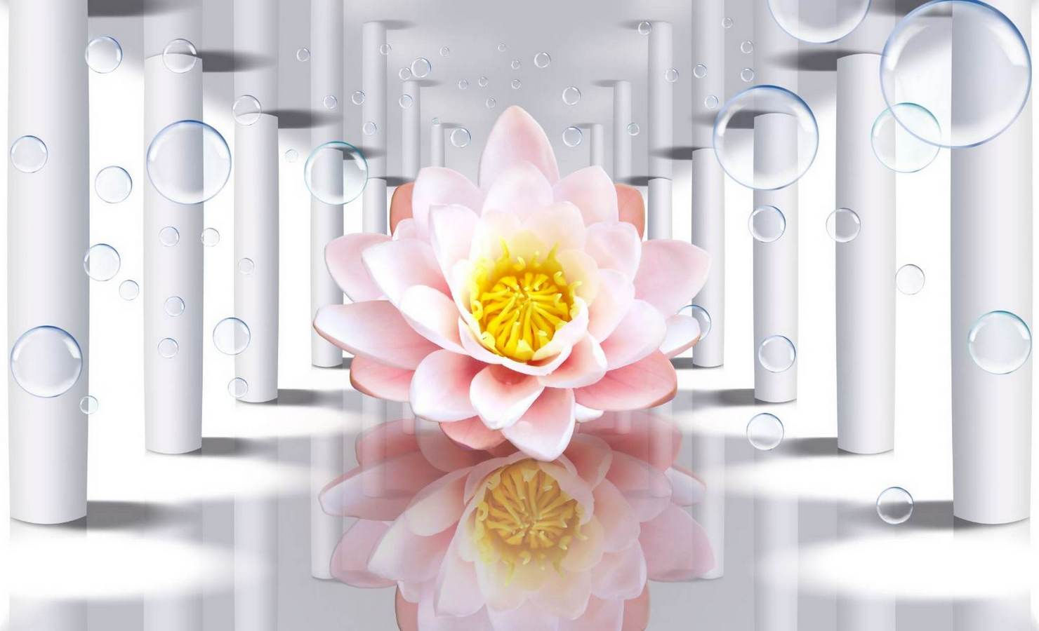 Floare de lotus roz în tunel.