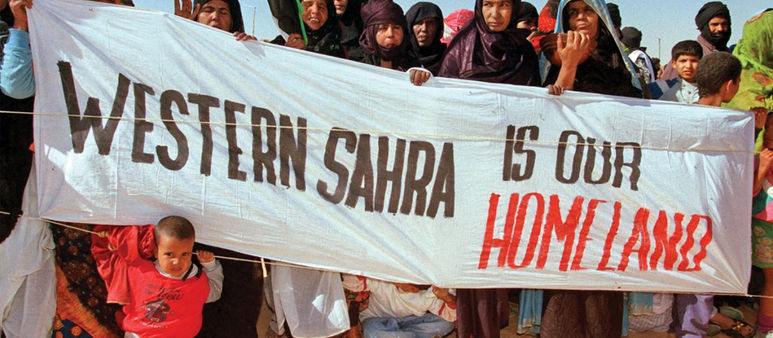 L-OKKUPAZZJONI ILLEGALI FIS-SAĦARA TAL-PUNENT.