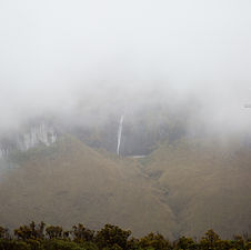 P2.jpg