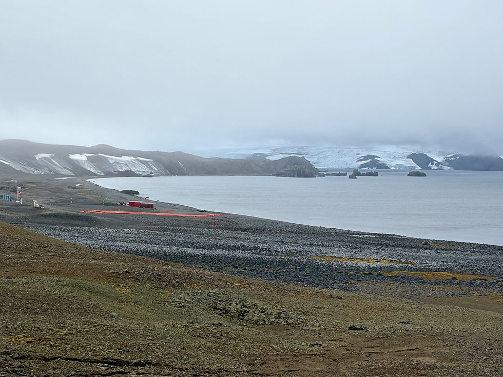 glaciers in the distance on King George Island, Antarctica