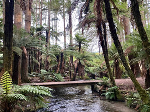 2024 Tarawera Ultra Trail 50k Race Report