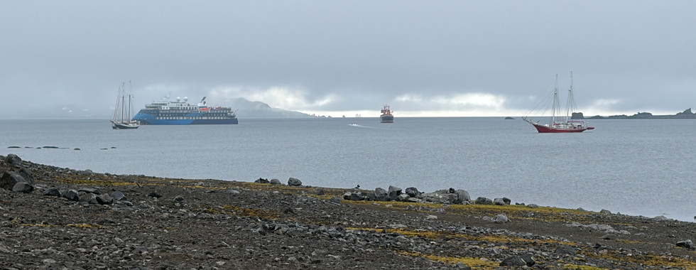 view of a cruise ship docked on a cloudy day