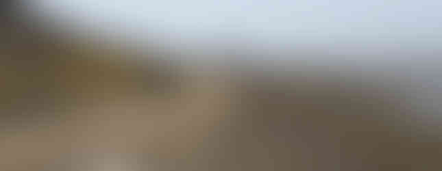 runners on a foggy dirt road