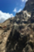 dog sitting on jagged rocks on a steep mountain