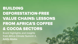 Building Deforestation-Free Value Chains: Lessons From Africa’s Coffee & Cocoa Sectors