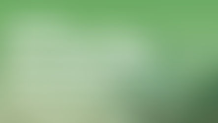 Building Deforestation-Free Value Chains: Lessons From Africa’s Coffee & Cocoa Sectors