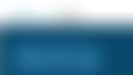 EUDR Tips That Exporters Can’t Afford to Miss