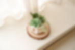 섬네일: DIY Paper Plants Mood Light