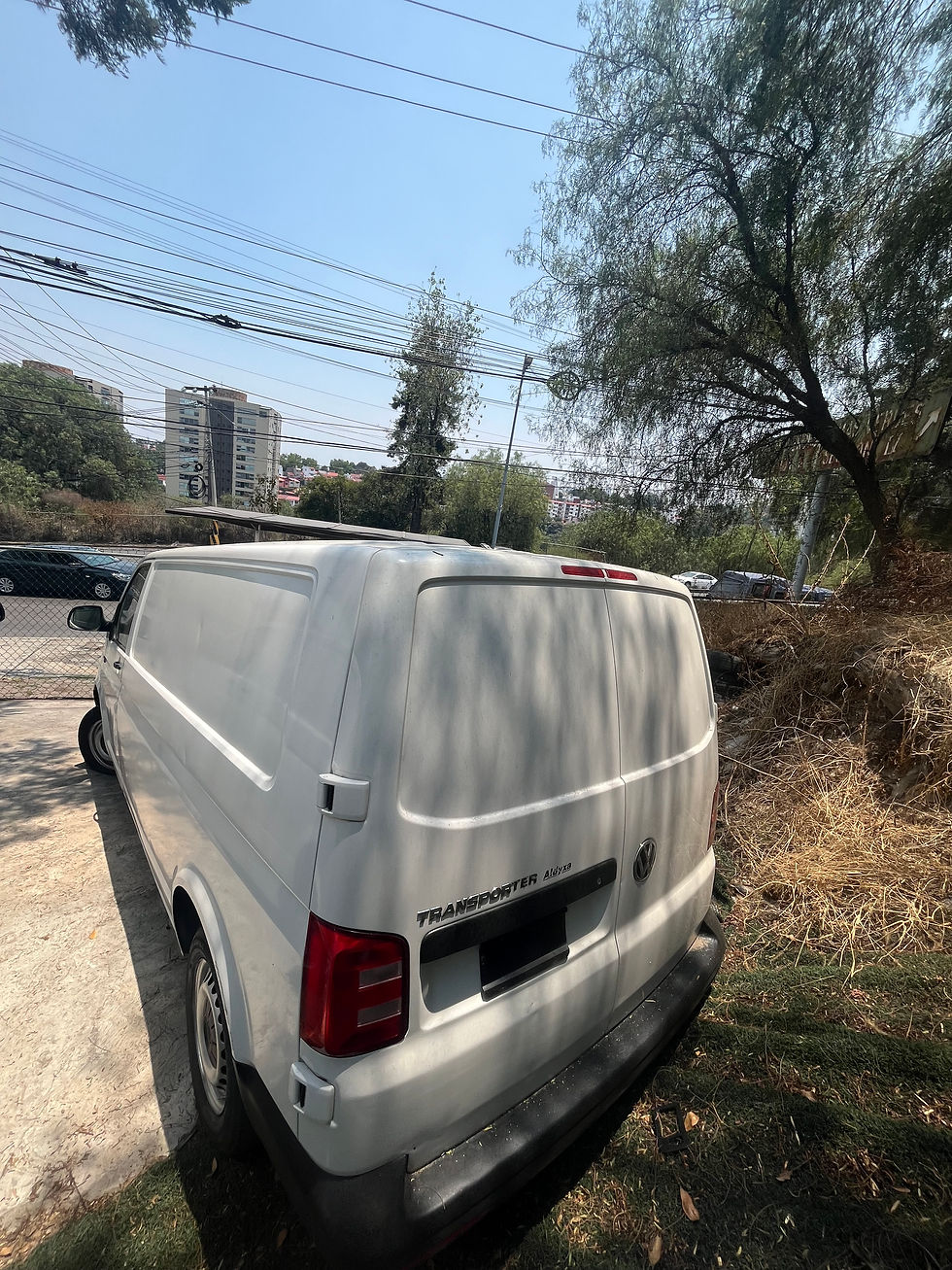 Miniatura: VOLKSWAGEN TRANSPORTER 2019