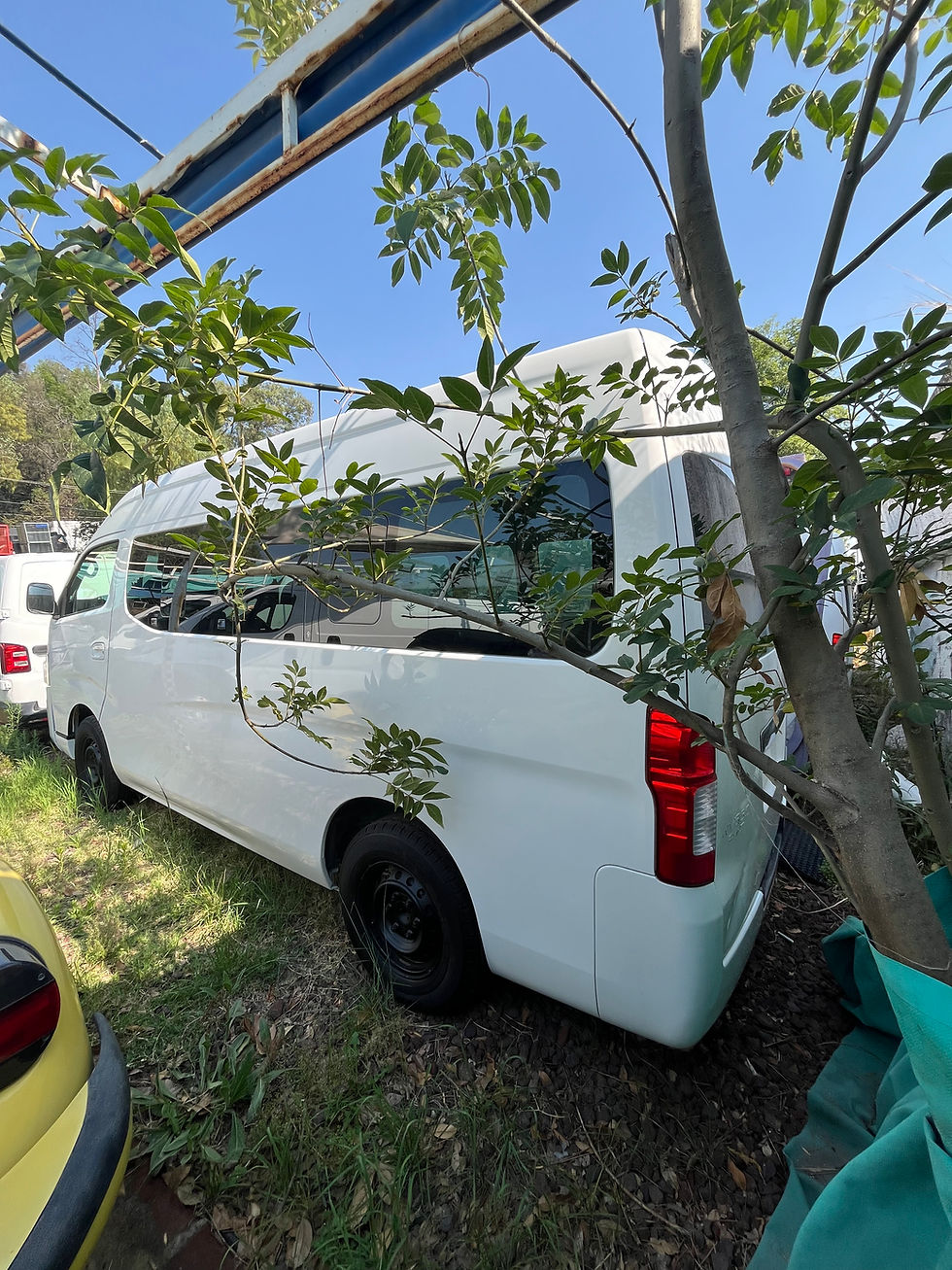 Miniatura: NISSAN URVAN PANEL 2020
