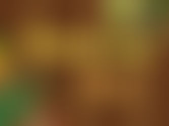 Benefits of the Paleolithic Diet