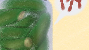 How Pickles Help Your Gut