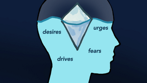 What is Consciousness?