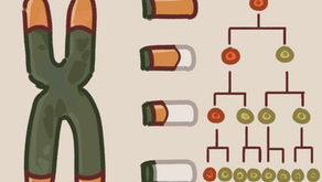 Telomeres and Aging