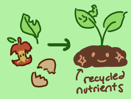 The Importance of Soil in Ecosystems