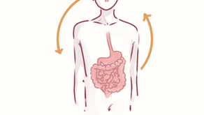 Microbiota and Gut-Brain-Axis