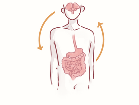 Microbiota and Gut-Brain-Axis