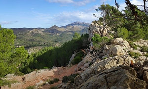 Referea - unforgettable minibreaks - spring - mallorca - vermell