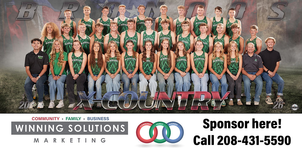 Team Banner 48"x96" and team Handout 12"x18"