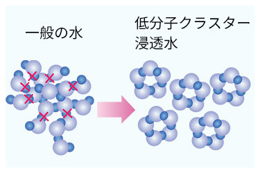 低分子水シャワーヘッド　SHINLMHEC 低分子水シャワーヘッド SHINLMHEC