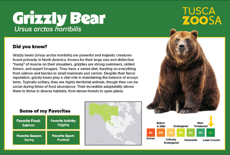 Grizzly Bear Animal Plaque