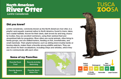 River Otter Animal Plaque
