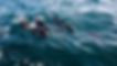 Scilly Scenes-19.jpg