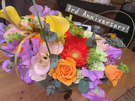 HAMMOCK三周年!