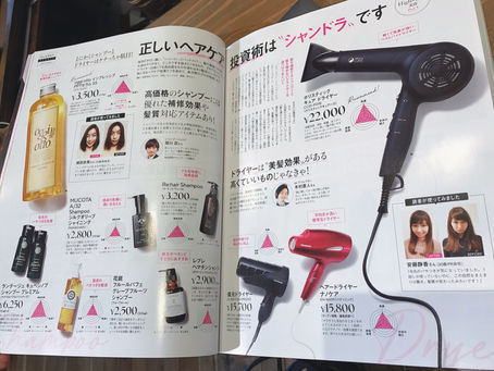 シャンドラ投資!