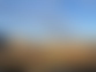 土曜日のつぶやき