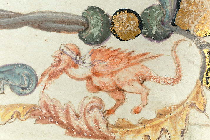 Ms009-055r-n_X6B2015.jpg