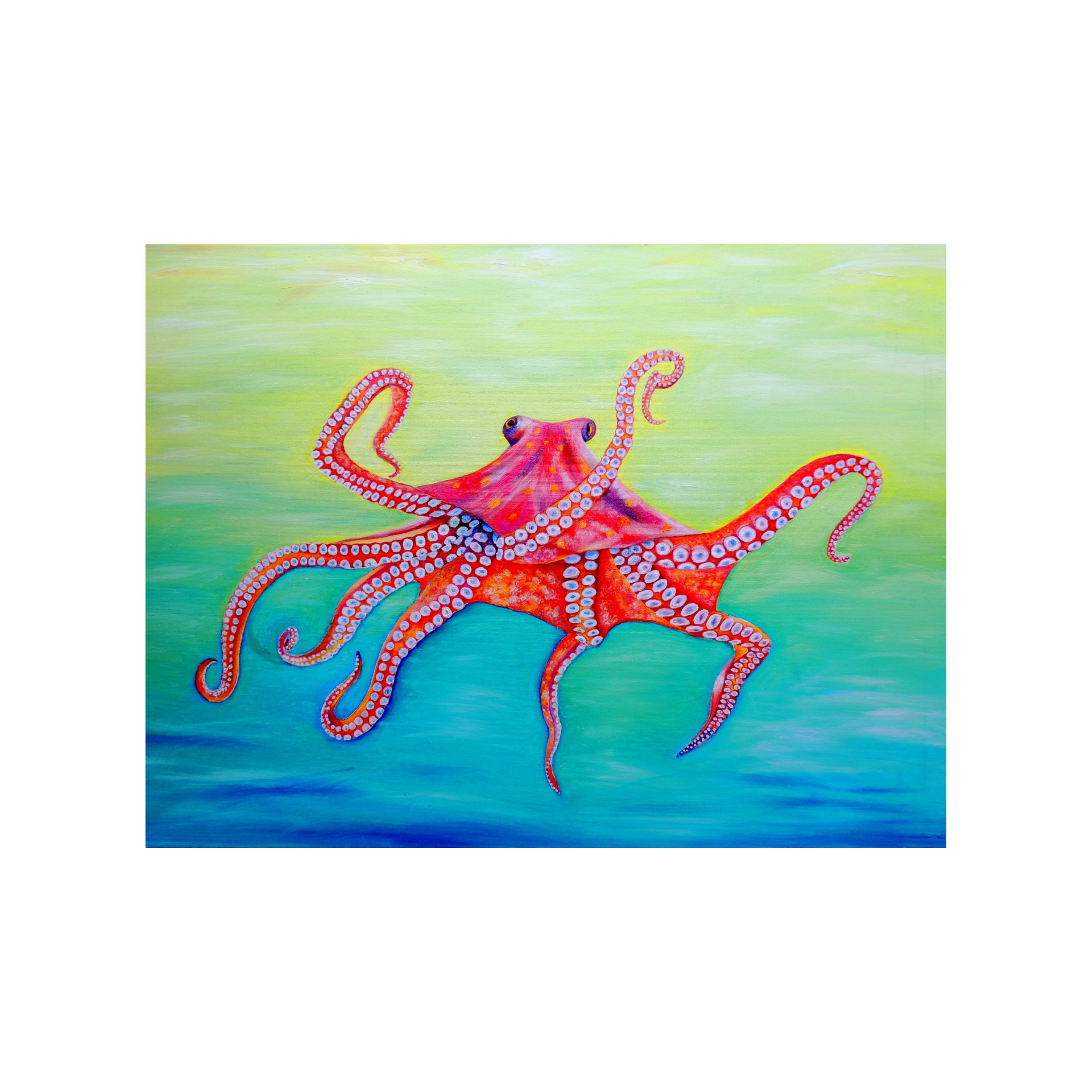 Red Octopus