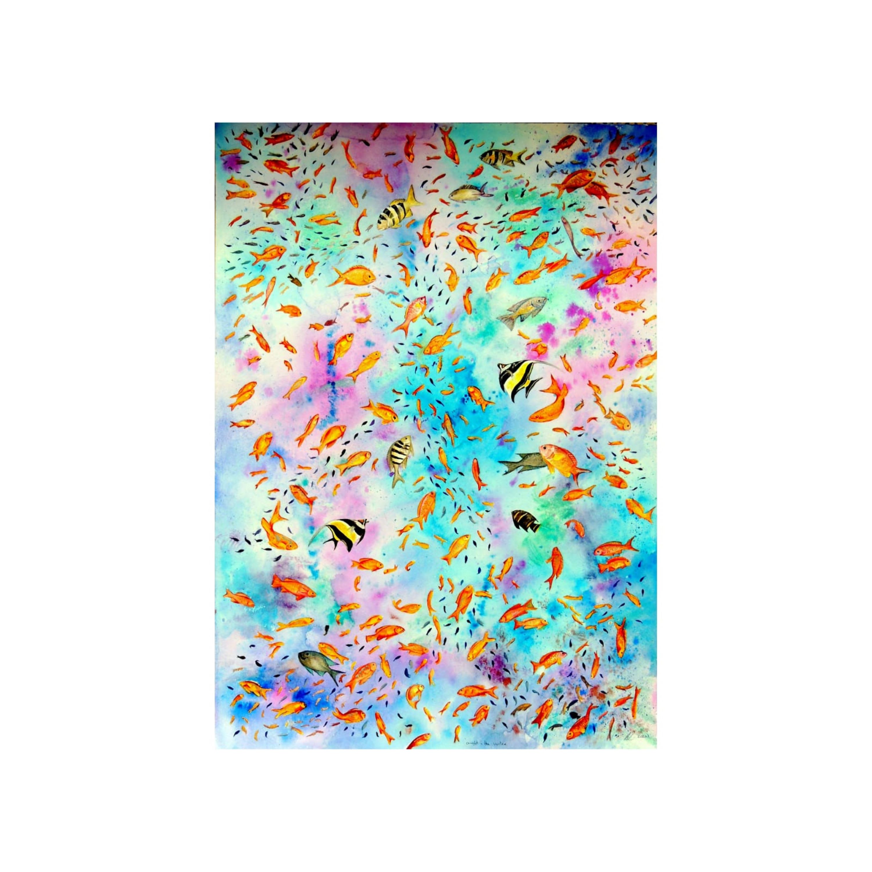 'Caught in the Vortex'