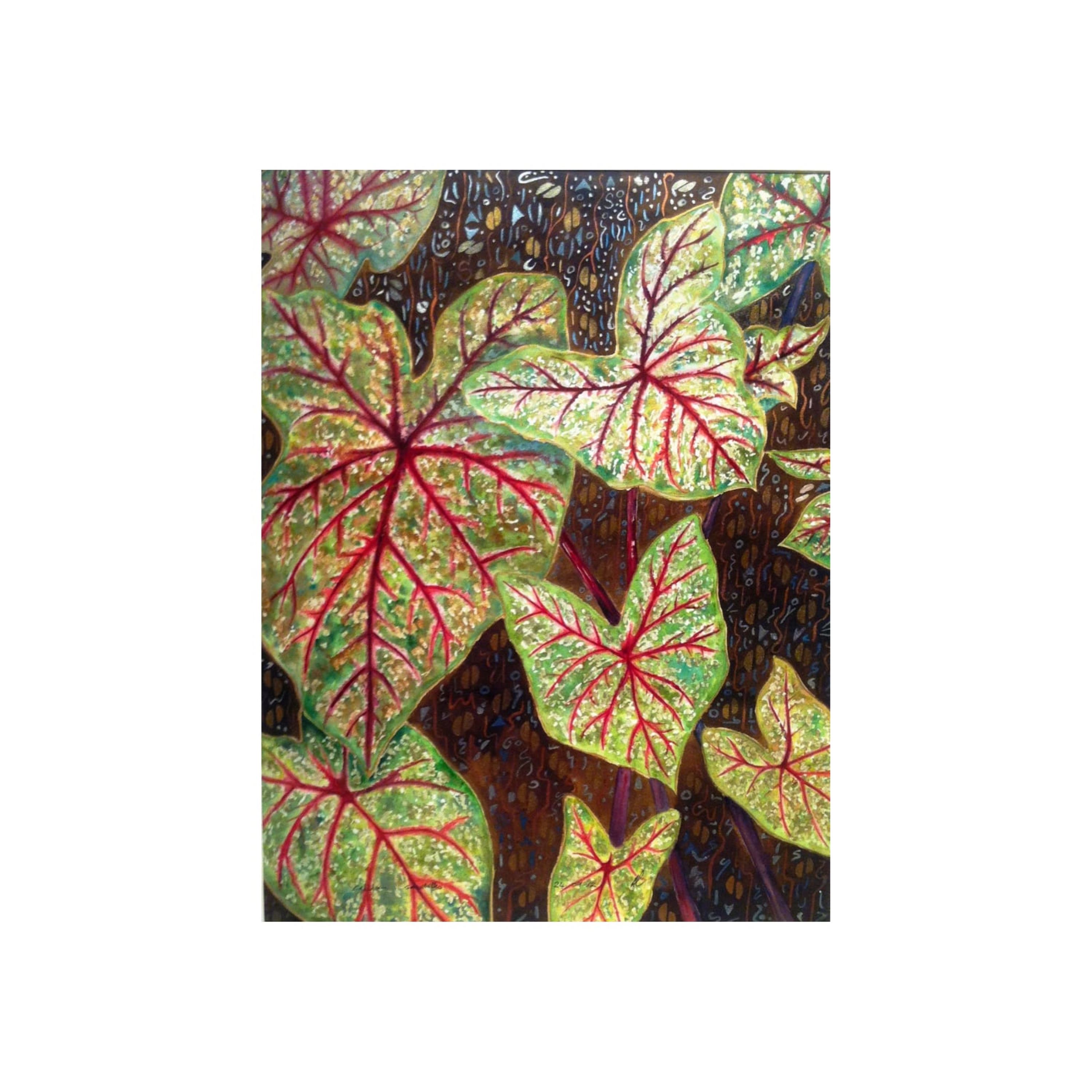 Red Caladium Leaves