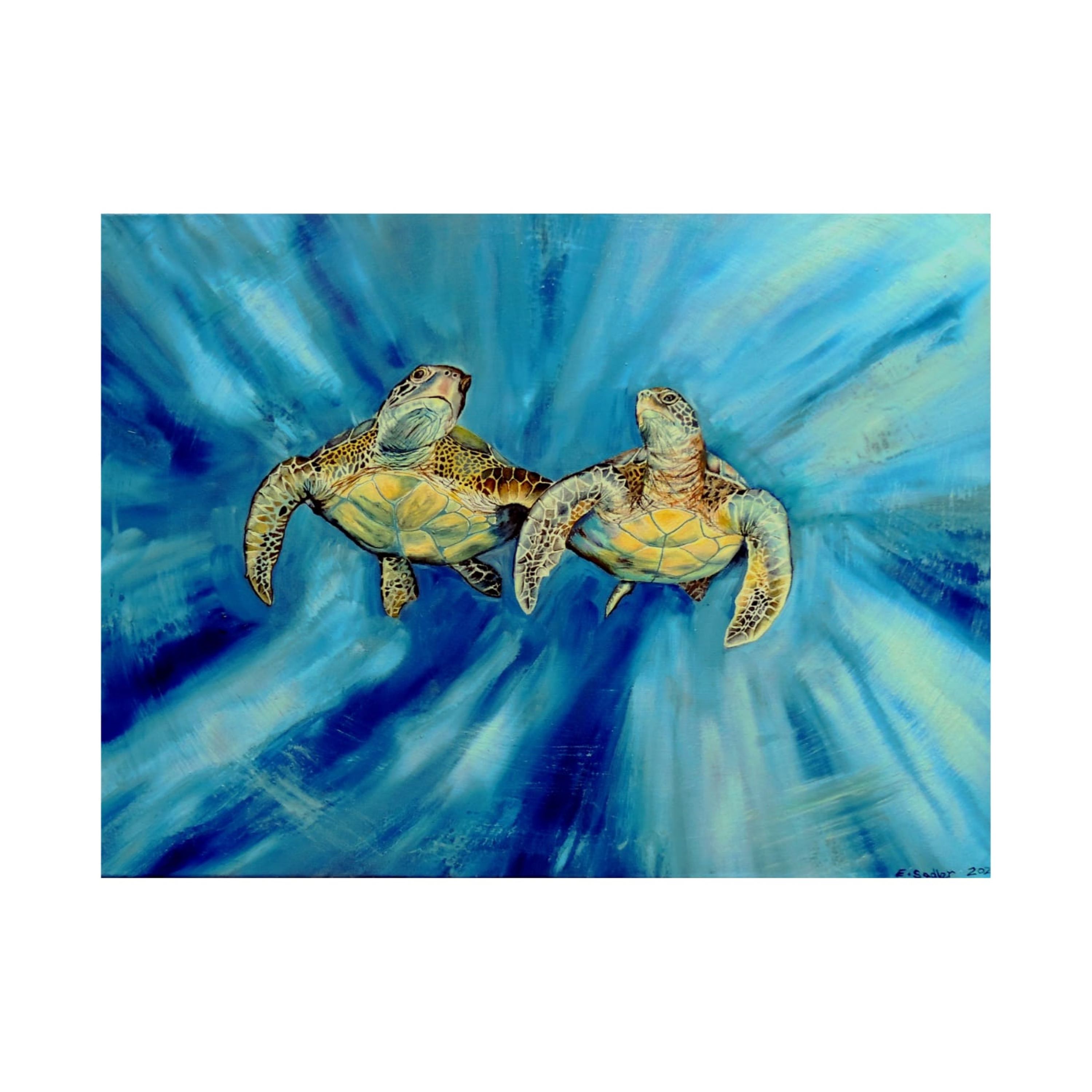 'Out of the Mystic' Sea Turtles