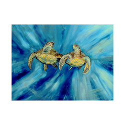 'Out of the Mystic' Sea Turtles