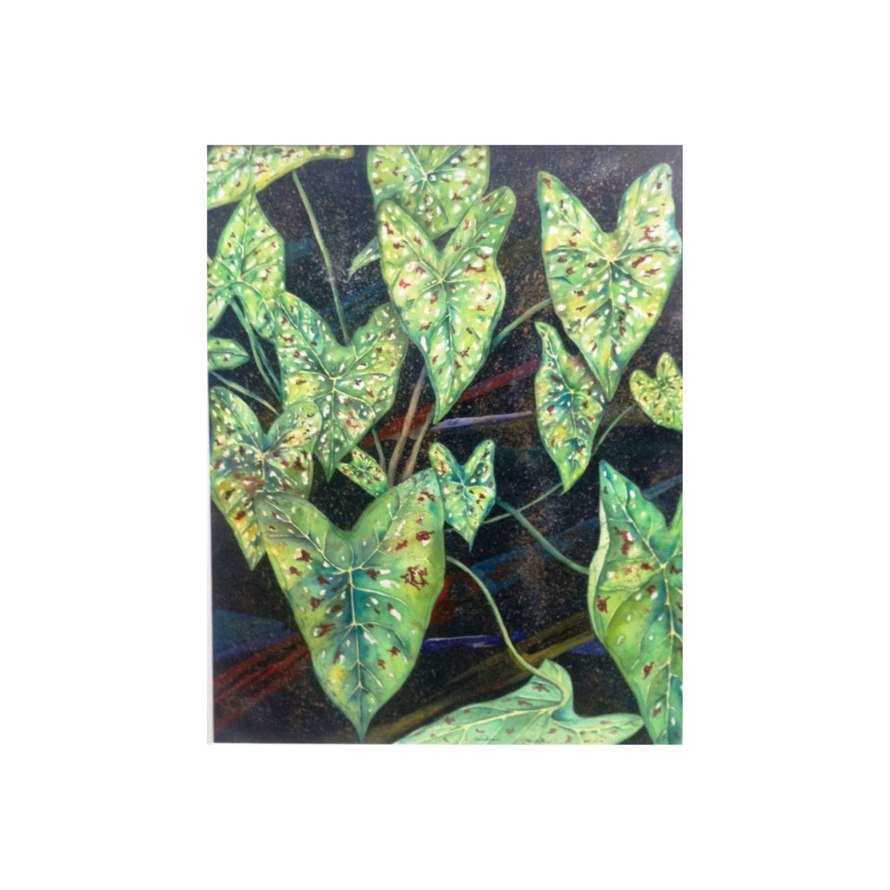 Green Caladium Leaves
