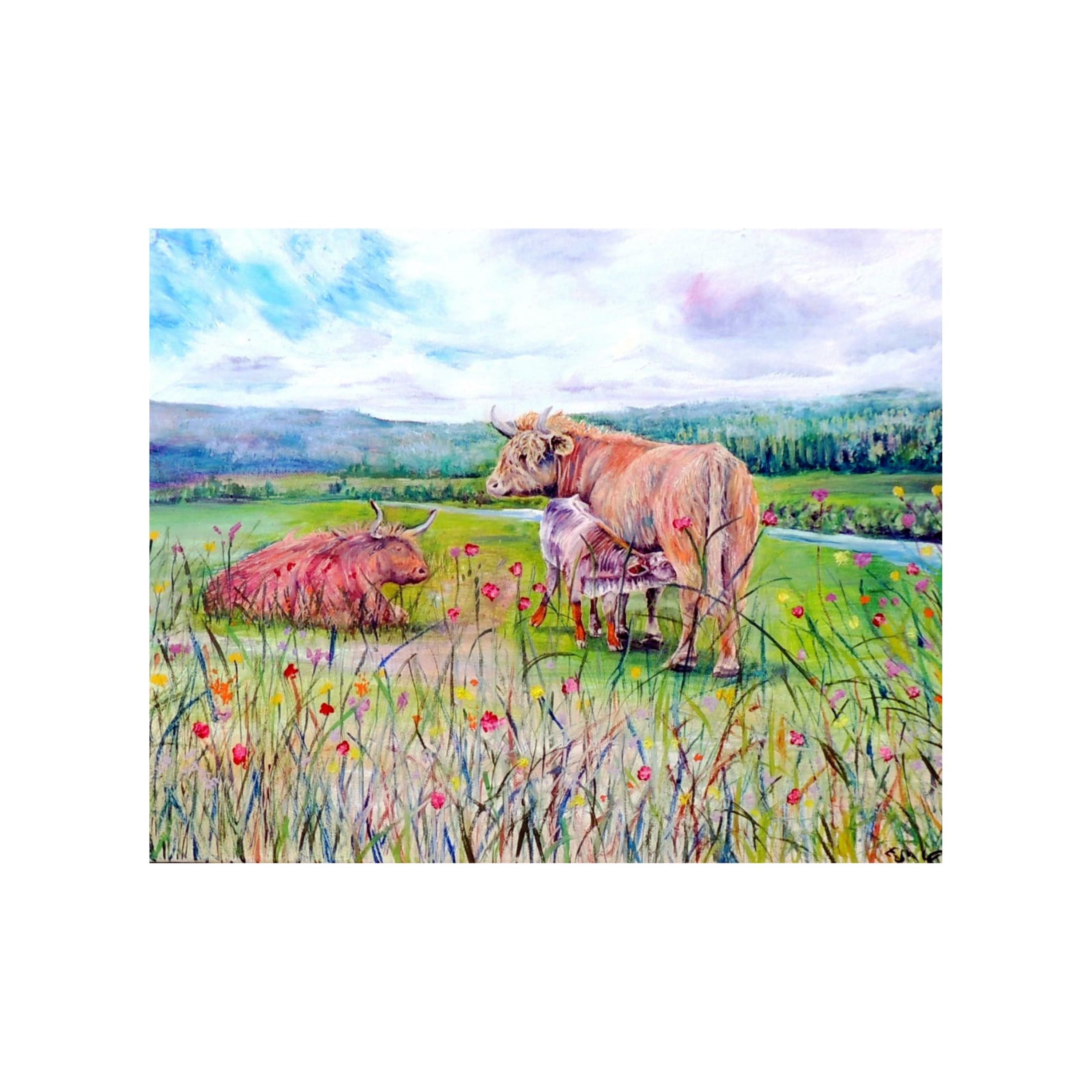 'Familial Love' Highland Cattle