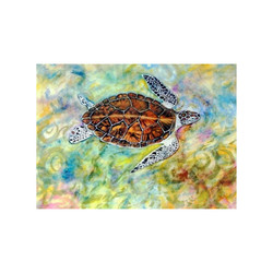 Hawsbill Turtle