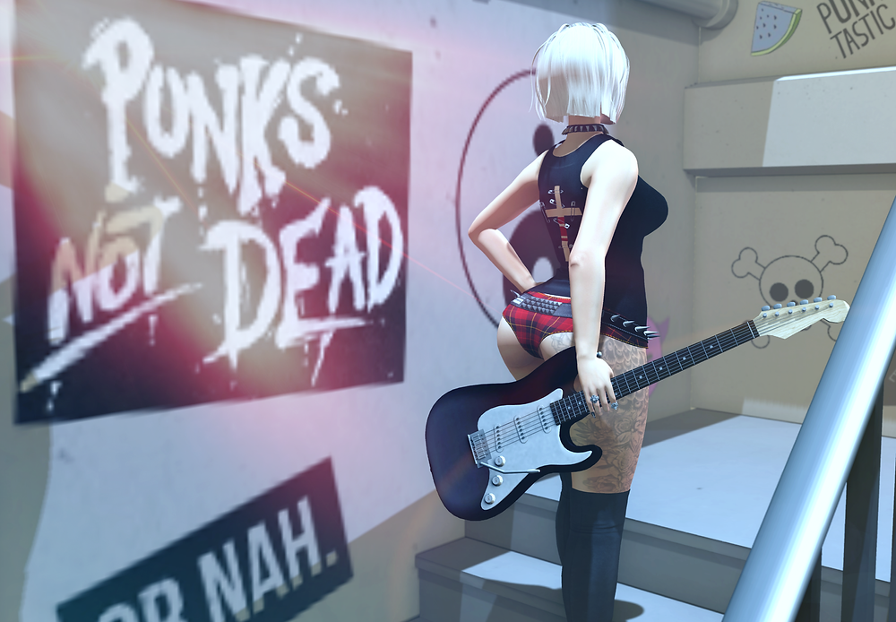 Punks not dead_3.000000
